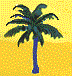 palm
