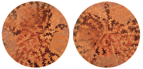 Michael Harvey, HARLOW & GABLE interchanged puzzle pieces  conceptual art