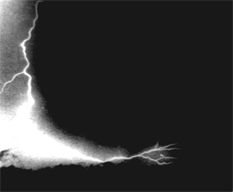 Michael Harvey Lightening