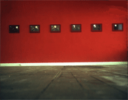 Michael Harvey installation